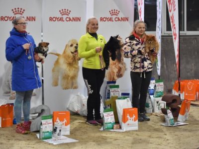 https://www.avemed.lv/wp-content/uploads/2019/10/Adziliti_suni-400x300.jpg