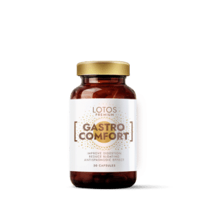 GASTRO comfort