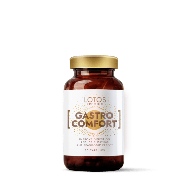 GASTRO comfort